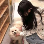 飞仙诀公测版下载